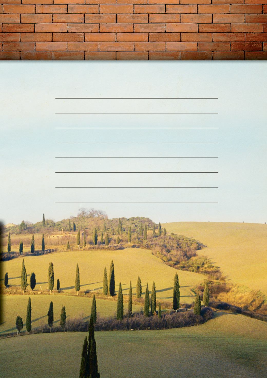 Page Background